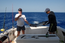 Safaris pêche au gros au départ de Nouméa