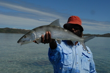 Laurent, guide de pêche pour New Caledonia Fishing Safaris