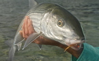 Les gros bonefish de Nouvelle Calédonie…